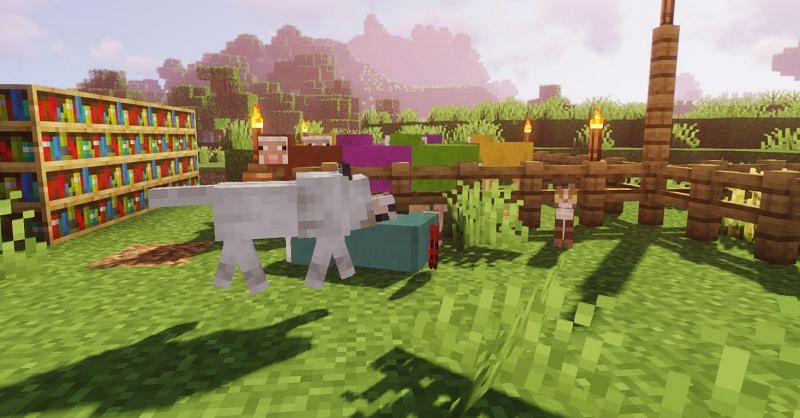 Shown: A Wolf feeding on the carcass of jeb. A sad day indeed. (Image via Minecraft)
