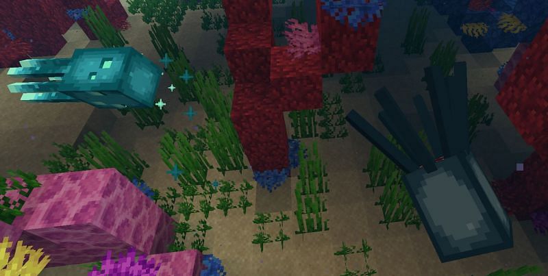 Another image of a Glow Squid and a regular Squid side by side (Image via Minecraft)
