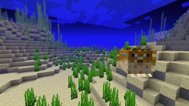 Underwater pufferfish (Image via minecraft.fandom)