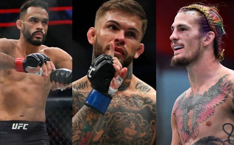 Rob Font (left), Cody Garbrandt (center) and Sean O&#039;Malley (right)