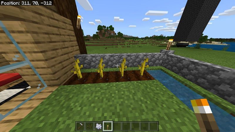 Growing melons in Minecraft