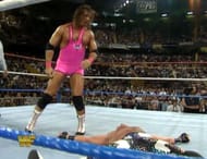 Bret Hart at Survivor Series 1993