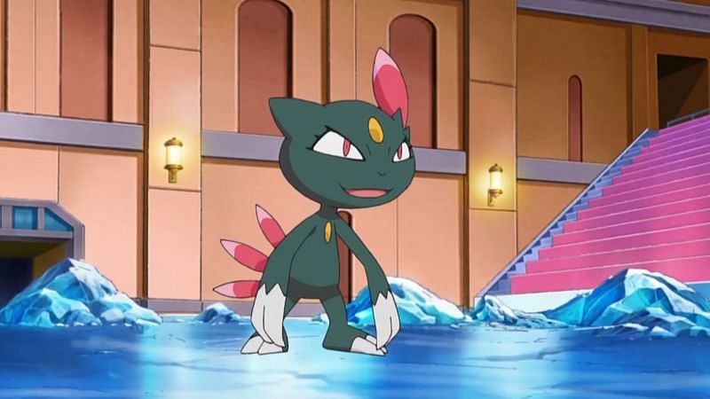 Sneasel in the anime (Image via The Pokemon Company)