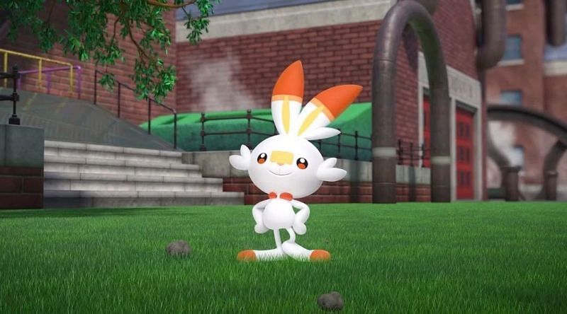 Appearance of Scorbunny