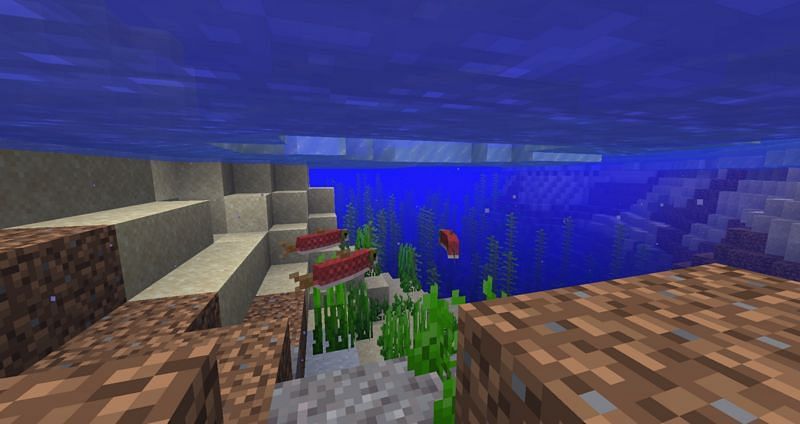 Salmon Minecraft: Spawning, Behavior, Trading And More