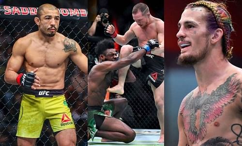 Jose Aldo (far left); Aljamain Sterling (second from left); Petr Yan (second from right); Sean O'Malley (far right)