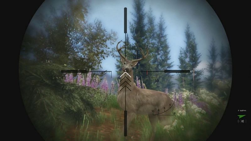 Hunting was a good activity, but more activities could be introduced to make the countryside more engaging (Image via GTA Wiki)