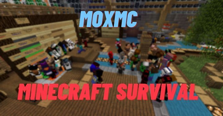 Mox MC is a large Minecraft survival server community