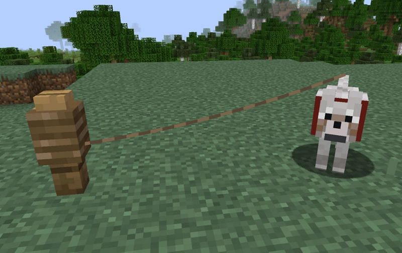 A wolf on a lead (Image via Minecraft Station)