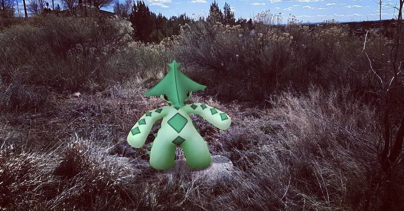 Cacturne (Image via Niantic)