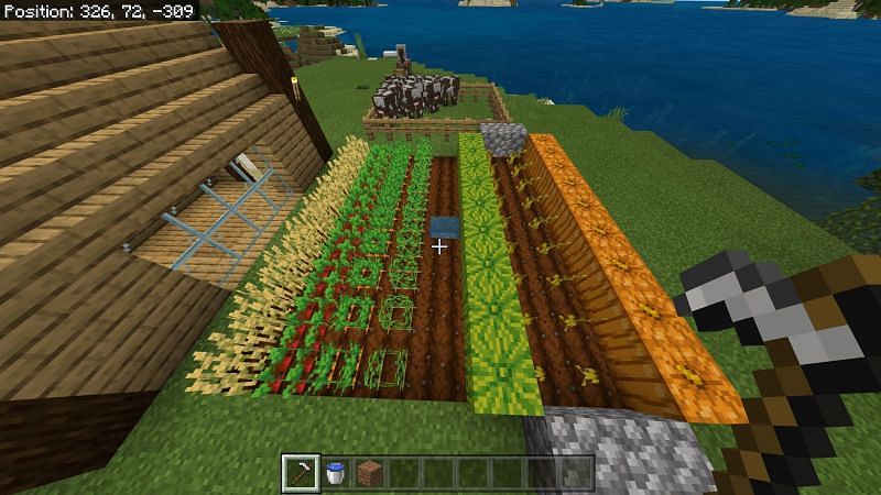 Growing crops in farmland Minecraft