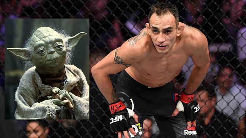 Yoda and UFC&#039;s Tony Ferguson