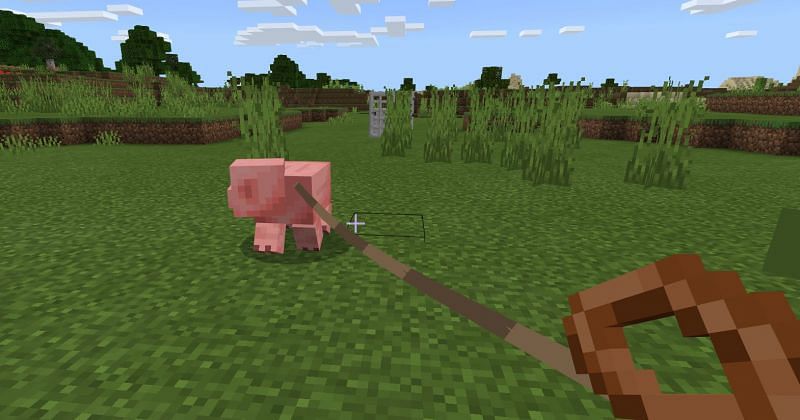 Using an animal trap Minecraft