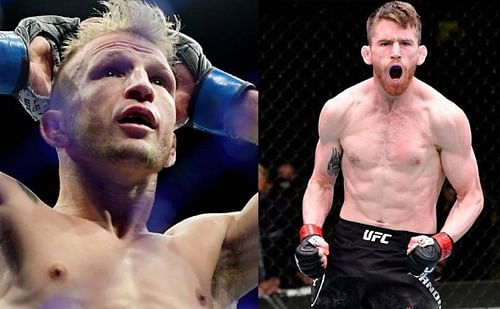 TJ Dillashaw (left); Cory Sandhagen (right)