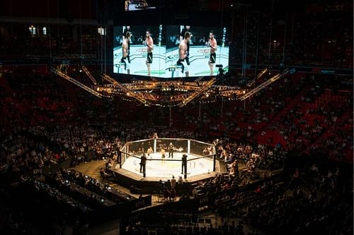 UFC octagon