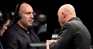 How did Joe Rogan get a scar at the back of his head?