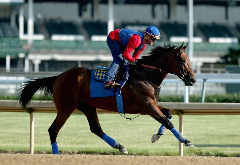 American Pharoah Trains In Preparation of the Belmont Stakes