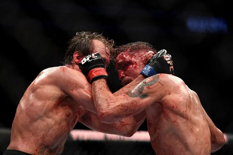 UFC Fight Night: Elkins v Landwehr