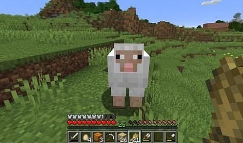 minecraft sheep colors