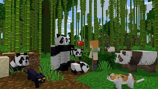 Pandas and cats (Image via Minecraft.net)