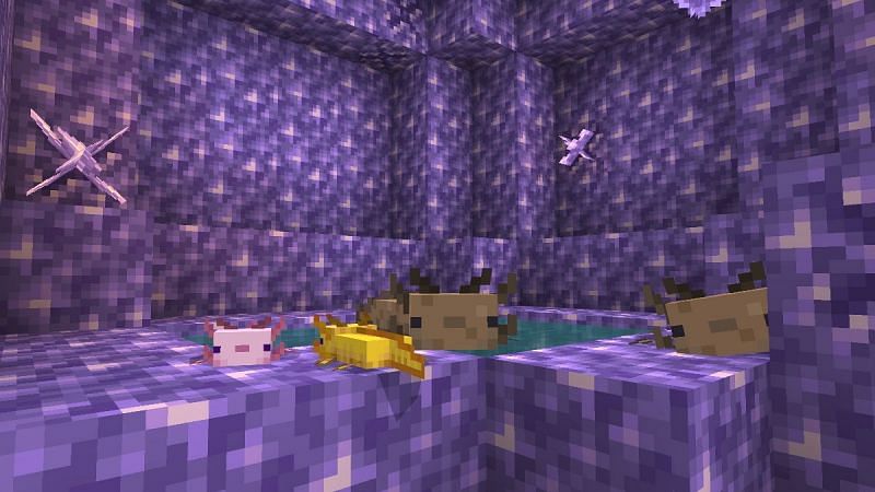 Minecraft Bedrock 1.17 beta versions released so far