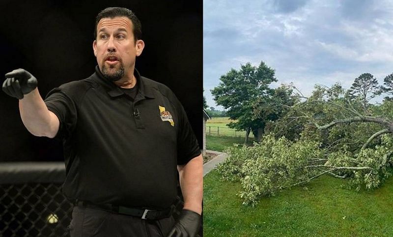 John McCarthy (left) and the tree in question (right) [Image Credits: @johnmccarthymma on Instagram]