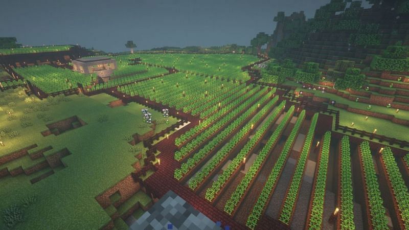 The largest potato farm that most players will ever see (Image via u/Ralseismyfursona on Reddit)