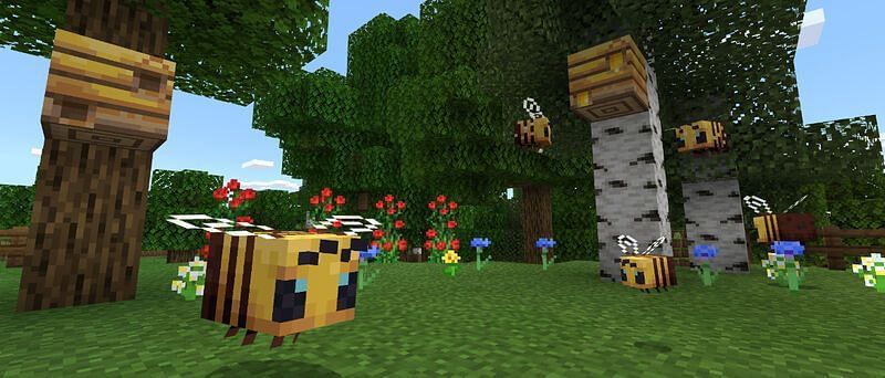 Bees close to their hive (Image via Minecraft fandom)