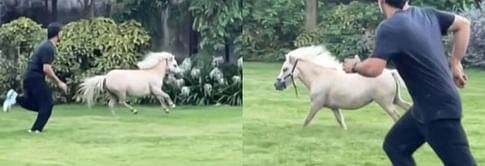 [Watch] MS Dhoni races with pony in video shared by wife Sakshi