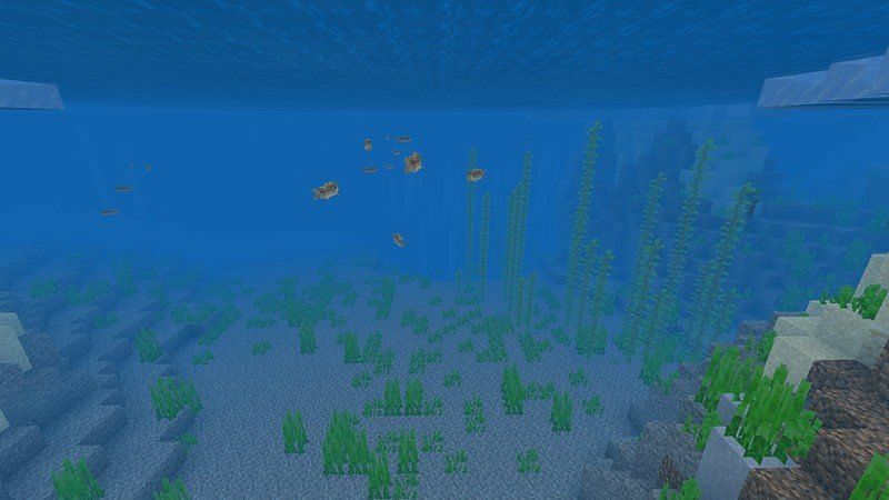 The ocean biome has a 1 in 15 chance of being generated