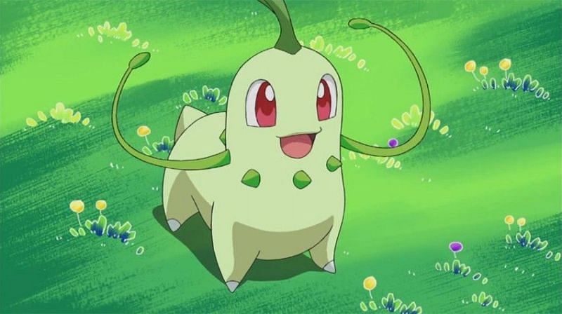 Chikorita Pokémon: How to Catch, Moves, Evolutions & More