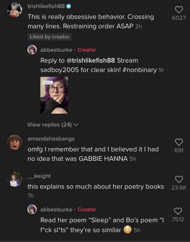 Trisha Paytas calls Gabbie Hanna out for being &quot;obsessive&quot; (Image via TikTok)