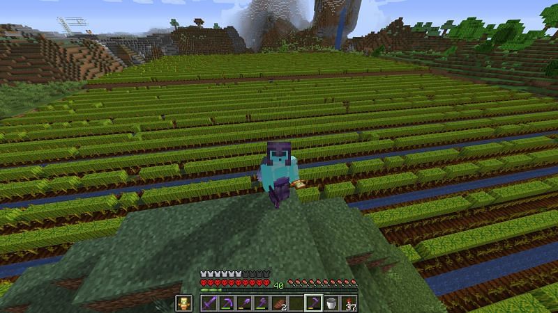 How To Build An Automatic Melon Farm In Minecraft