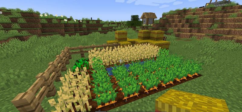 How to grow crops in Minecraft 1.17 version easily