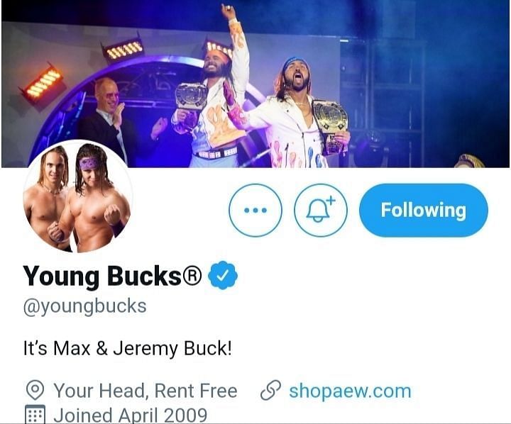 Screengrab of The Young Bucks' Twitter bio