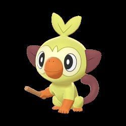 Pokémon Sword and Shield Grookey guide: Evolutions and best moves