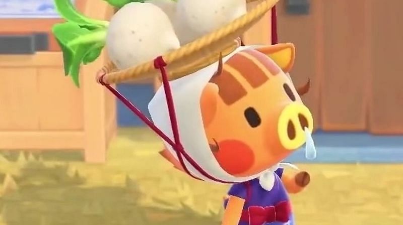 Daisy Mae in Animal Crossing: New Horizons (Image via EuroGamer)