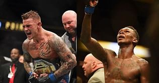 What is an interim champion in the UFC?