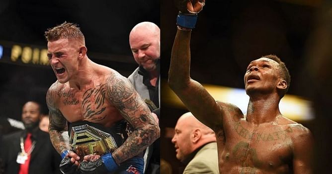 What is an interim champion in the UFC?