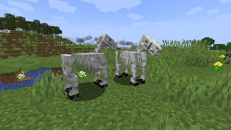 Two Skeleton Horses (Image via Minecraft)