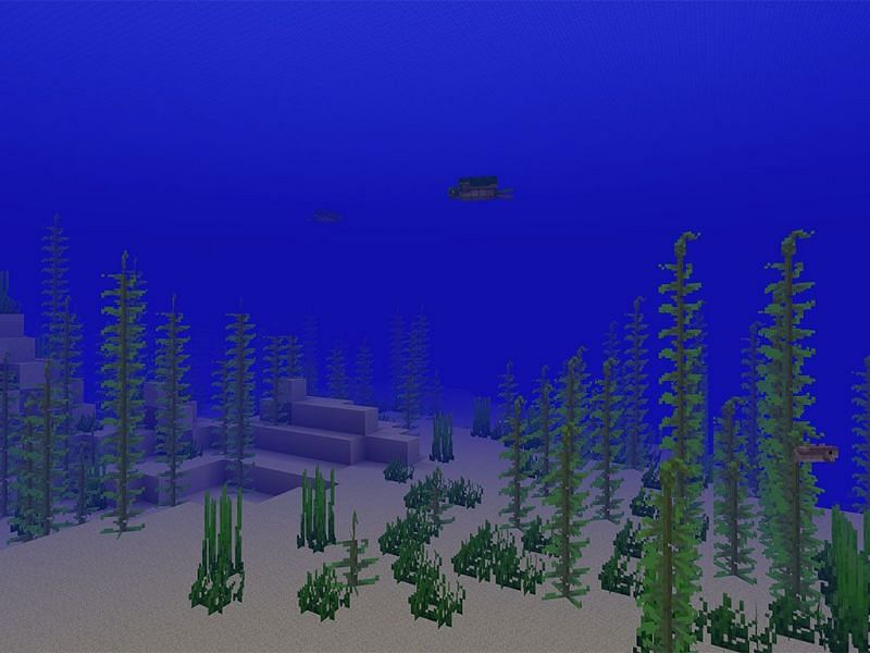 Seagrass can also be fed to baby turtles to speed up their growth (Image via Mojang)