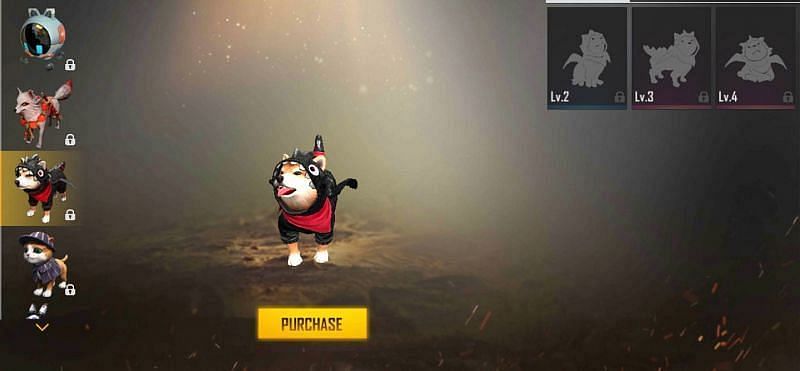 Free Fire में Shiba