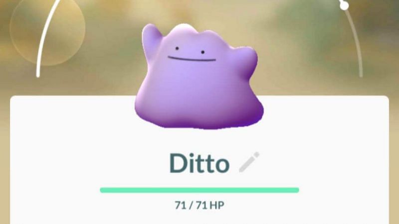 Tips for Catching Ditto in Pokémon Go