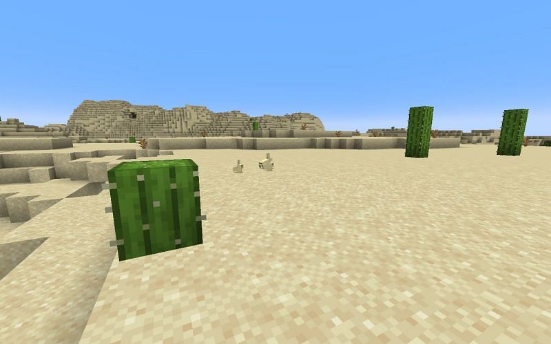 desert biome minecraft - apkafe