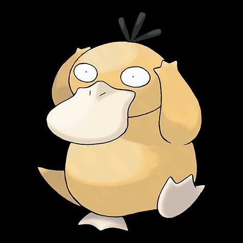 Psyduck Pokemon