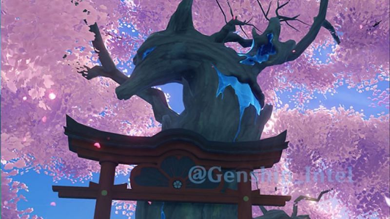 Sacred Sakura Tree (image via Genshin Intel)