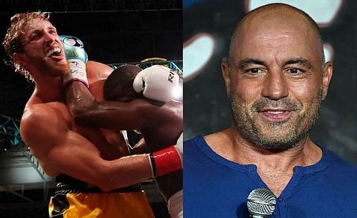 Joe Rogan has given his take on Floyd Mayweather vs. Logan Paul