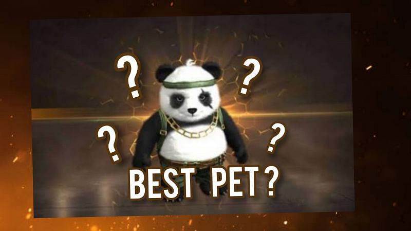 Discussing why Detective Panda is the best pet in Free Fire (Image via Sportskeeda)