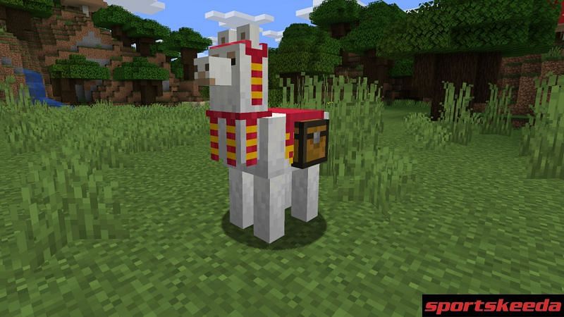 Llamas in Minecraft were implemented as part of the major 1.11 update