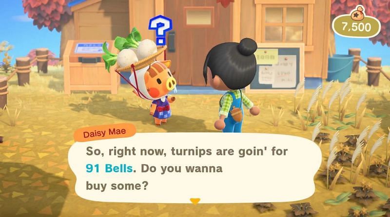 Daisy Mae can help players buy and sell turnips./ Image via IGN